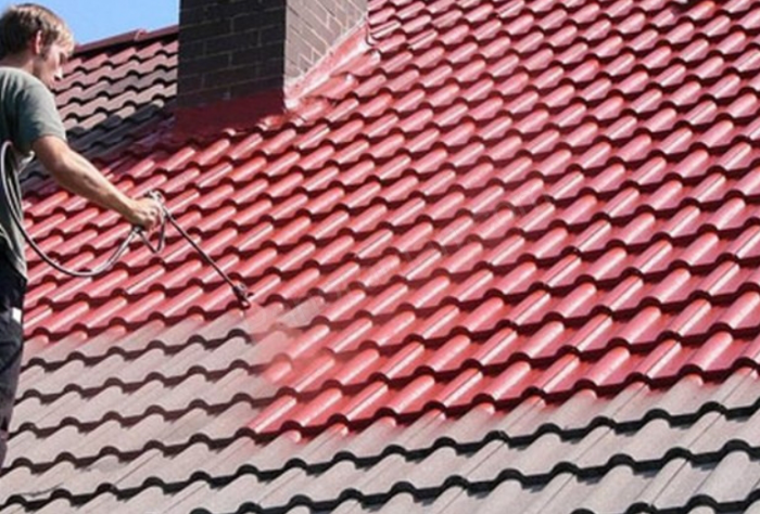 Чем покрасить железную крышу дома