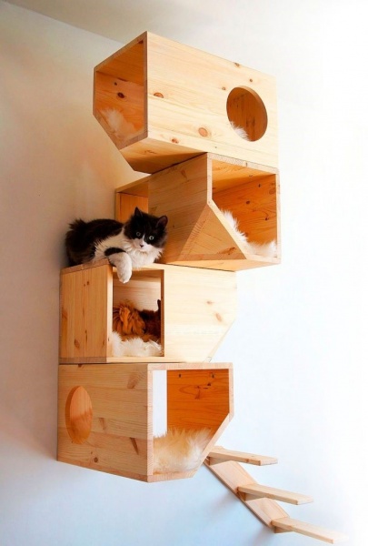 Домик для кошки + фото