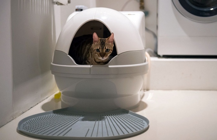 Туалет-домик для кошек