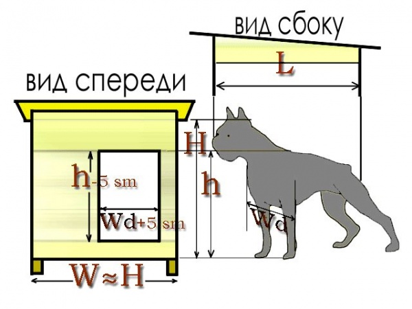 Размеры собачей будки для немецкой и кавказской овчарки, алабая, лайки, хаски, лабрадора