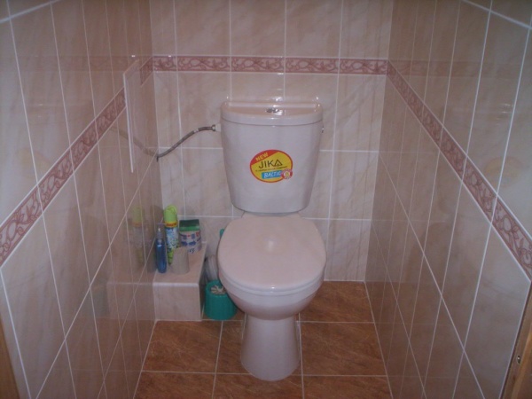 Отделка туалета плиткой + фото дизайна